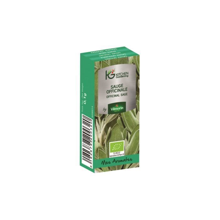 KITCHEN GARDENING by Vilmorin Sauge officinale pour jardin d'intérieur