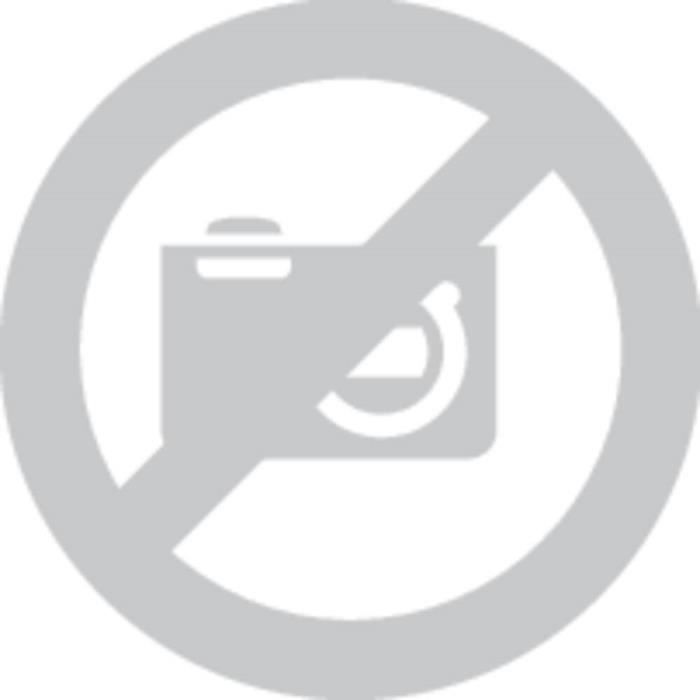 Téléphone sans fil Gigaset E290 noir