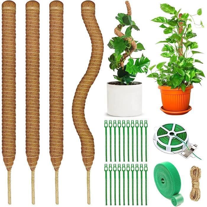 Tuteur Plante Interieur, 120cm Tuteur Grimpante Coco, Support de Plante