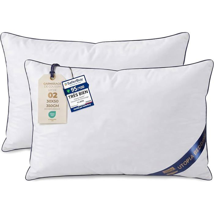 Coussin 30x50 cm Lot de 2 Coussins de Garnissage Canapé Oreillers Rembourrage Coussins Intérieur Coussin 2 Blanc