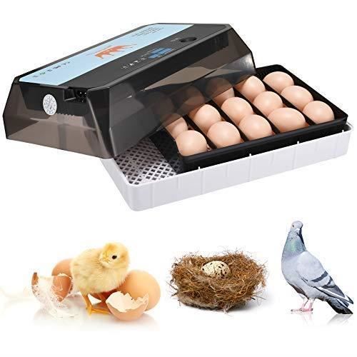 Couveuse Automatique 12 œufs - Contrôle Température Et Humidité - Pour Poussins, Canards, Oies