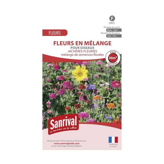 Jachère fleurie pour oiseaux Cdiscount Jardin — free download
