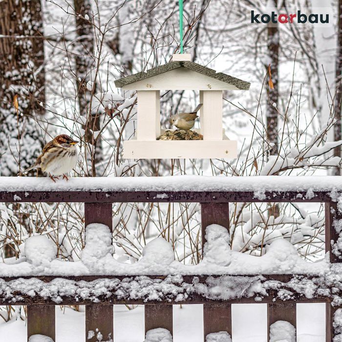 Mangeoire à Oiseaux - Kotarbau - Bois - 0,5 Kg De Nourriture - Résistante Aux Intempéries - Suspendue