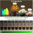 Lampe de Plante LED à Spectre Complet Réglable en Hauteur - Grow Light - Lumière Chaude-2