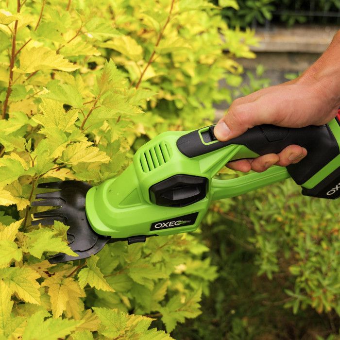 POSENPRO Cisaille à Gazon Et Taille-Haie Sans Fil 12V 2000mAh Avec Poignée Rotative - 2 Lames