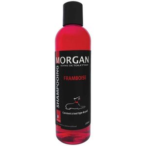 SHAMPOING - MASQUE Shampoing protéiné Framboise Morgan : 250ml - MORG