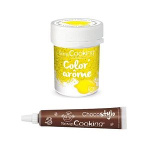AIDE PÂTISSERIE Colorant alimentaire jaune arôme citron + Stylo chocolat
