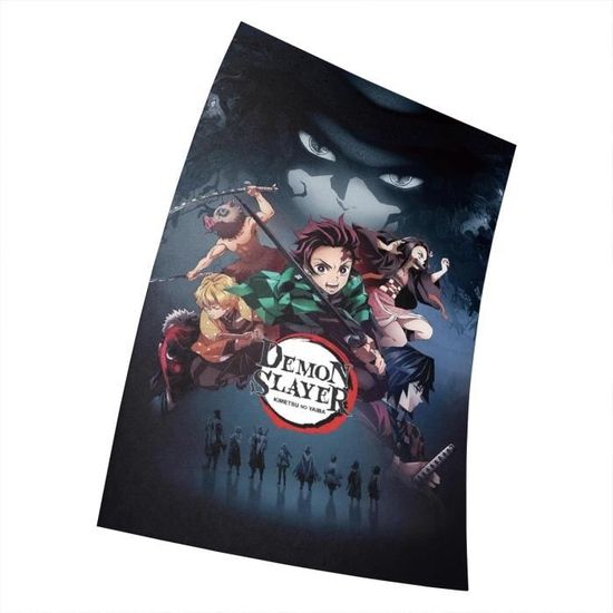 Poster Anime One Piece Monkey D. Luffy - Format 38 X 58 Cm (15 X 23 Pouces) - Déco Murale Cadeau