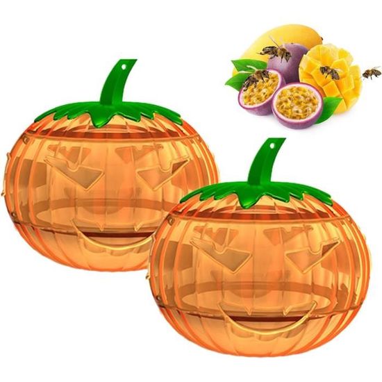 Piège Guêpes & Frelons – Protecta : Piège à Guêpes écologique Extérieur – 1 Nuisible – 1 Solution