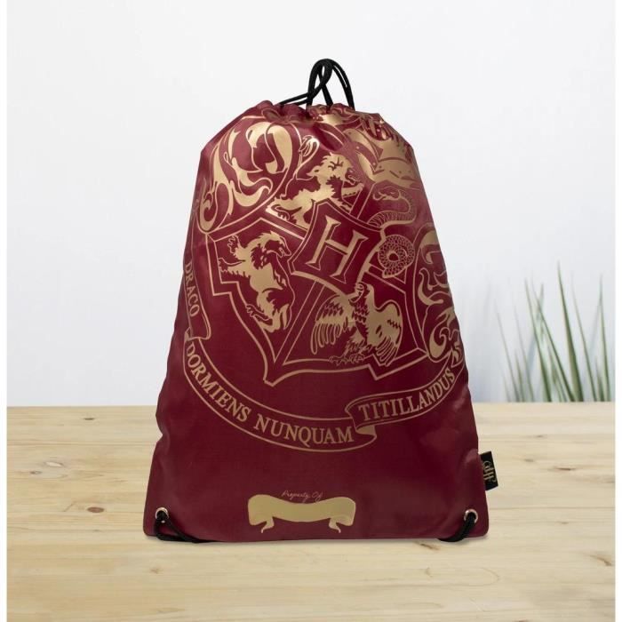 Sac de hotsell sport harry potter