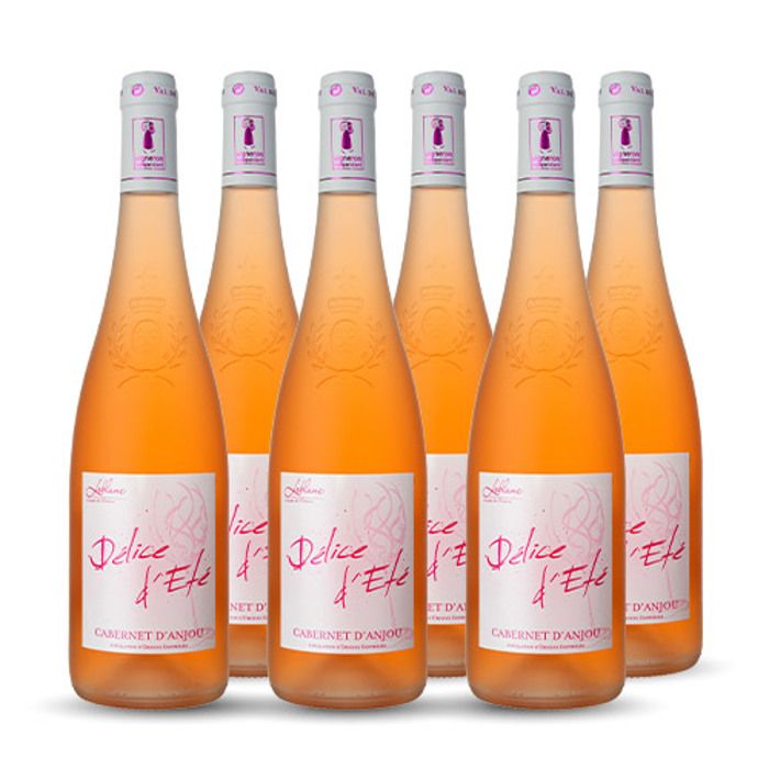 Domaine Leblanc - Les Closserons Délice d'été Cabernet d'Anjou Rosé 2022 6x75cl