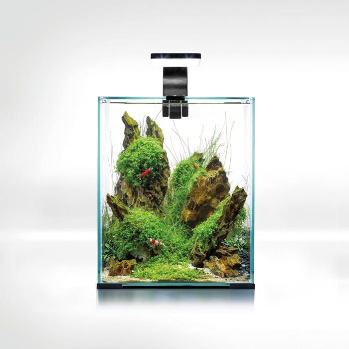 Aquael Nano Aquarium Smart D&N 20 ECOM Noir - Kit crevettes 20L LED 48W filtre 320 l/h