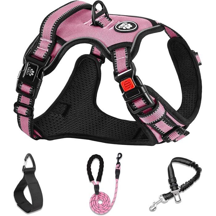 Harnais Veste et Longe Anti Traction pour Chiens Colliers Harnais et Laisses Rose [XL]Le Cou 43~64CM Poitrine 53~89CM