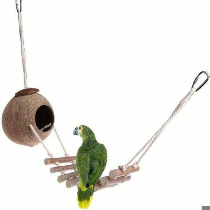 Nid doiseau naturel en noix de coco avec échelle cage pour perroquet volière de coco accessoire pour oiseaux
