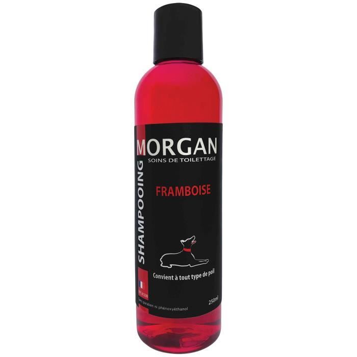 Shampoing protéiné Framboise Morgan : 250ml - MORGAN Shampoing protéiné Framboise Morgan : 250ml - MORGAN