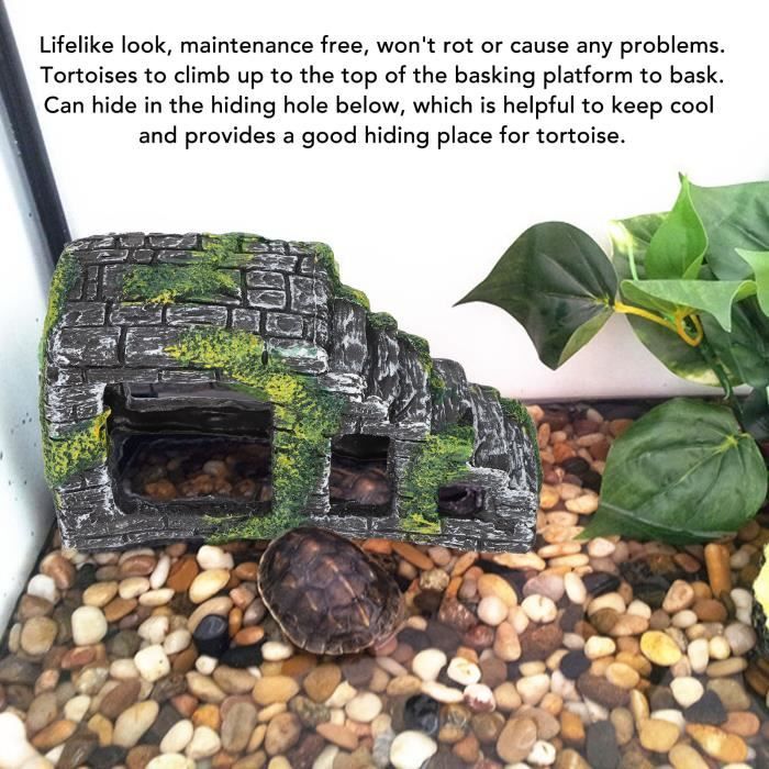 Meilleurs prix pour Plate-forme de pèlerinage tortue - LON - JR033 - Résine non toxique - Design à gradins - Cachette intégrée