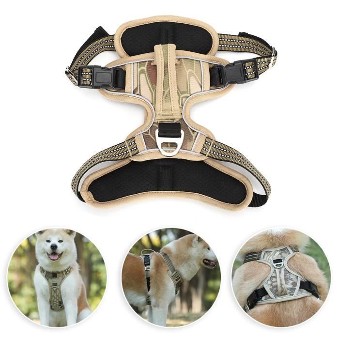 Zerodis Harnais pour chien Harnais de sport pour petit chien chat de