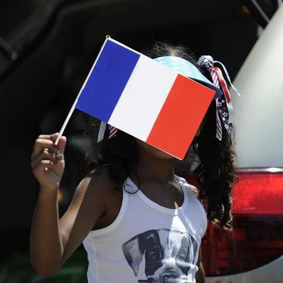 Images De Petit Drapeau Ance – Téléchargement Gratuit Sur Eepik