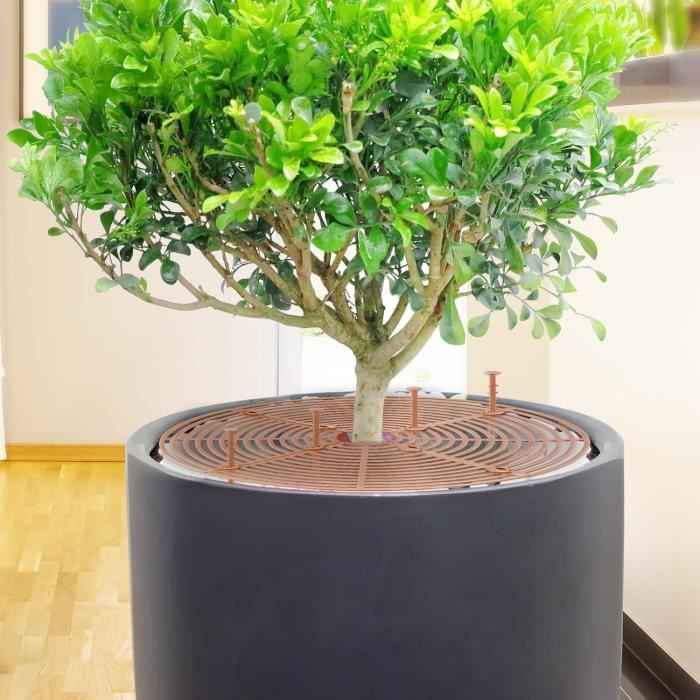 Lot De 3 Protections De Sol Pour Pot De Fleurs