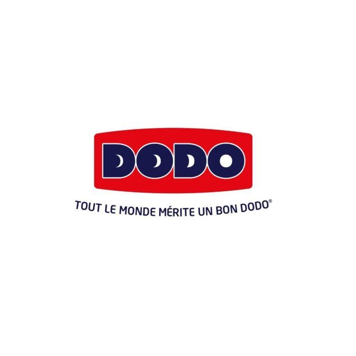 Couette 220x240 Dodo
