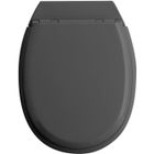 Abattant WC - ALLIBERT BATH & DESIGN - ATLAS - Bois compressé - Déclipsable - Gris