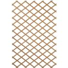Treillis extensible en bois 100 x 200 cm Nature