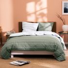 Parure de lit imprimée 100% coton - MATT & ROSE - LICHEN STRIPES - Rayures Vert - 240x220 + 2 taies 65x65 cm