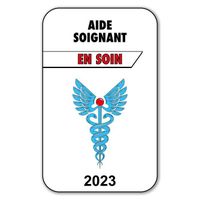 Autocollant Sticker - Vignette Caducée 2023 pour Pare Brise en Vitrophanie - V3 Aide Soignant 