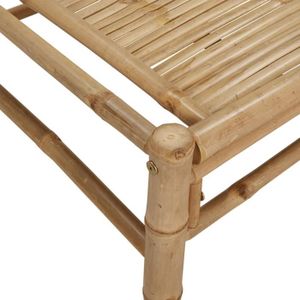 TABLE BASSE JARDIN  Table basse de jardin 100x55x33 cm bambou Mothinessto LY0552