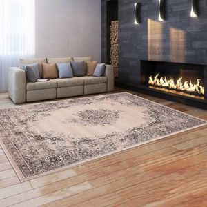 Tapis Oriental Achat Vente Pas Cher