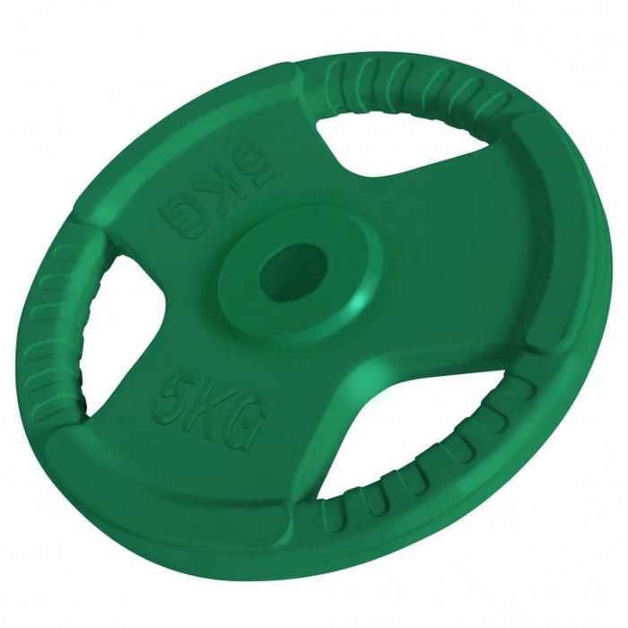 1 x Disque de 5 KG -Poids en fonte avec poignées et revêtement caoutchouc - Ø 31mm d'alésage