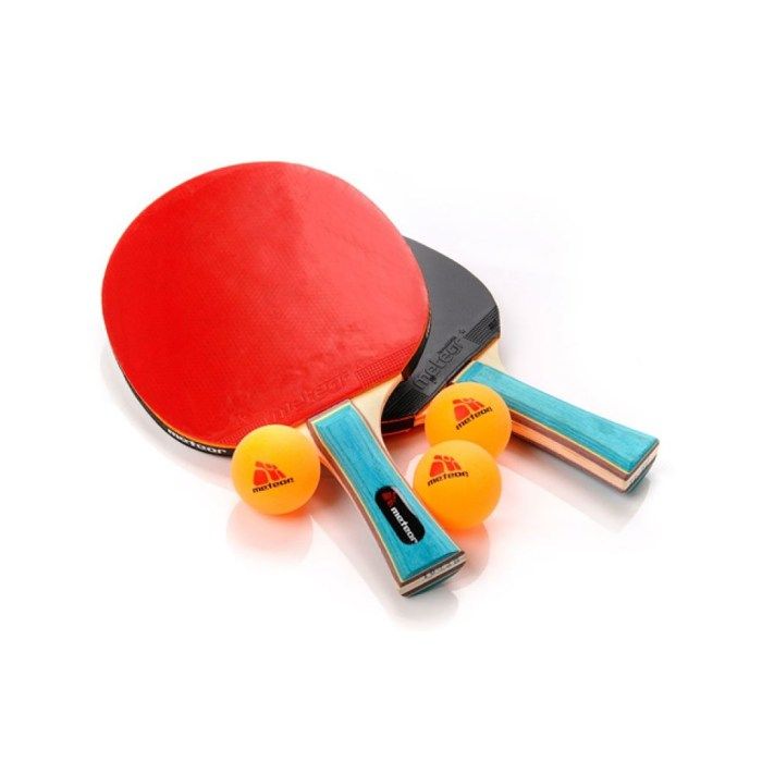 Ensemble de raquettes de Ping Pong - meteor Zephyr - Professionnel 2 Raquettes de Tennis de Table + 3 Balles de Ping-Pong