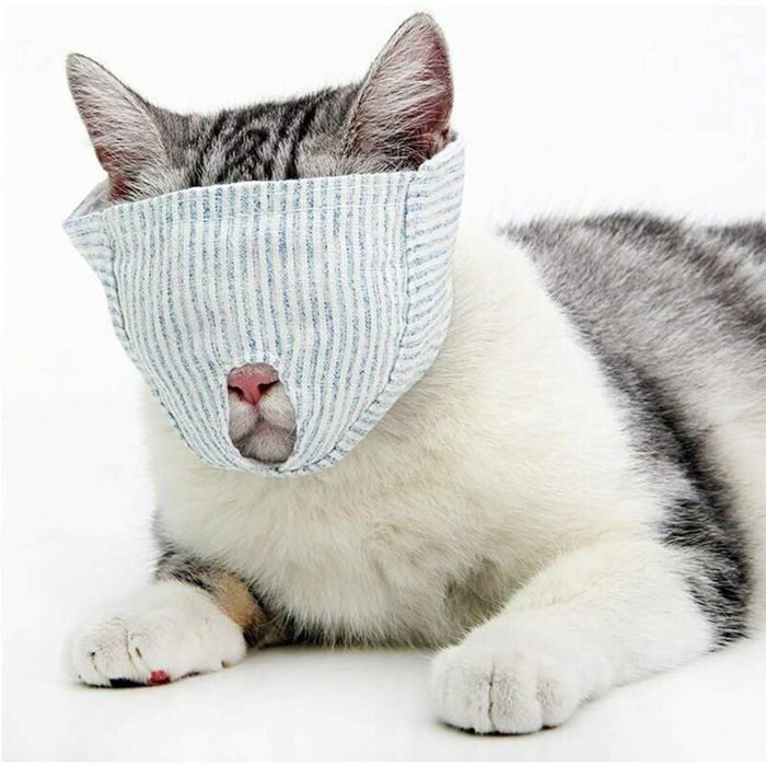 Meilleurs prix pour Muselière respirante pour chat, masque de retenue pour chat pour le toilettage et la coupe des ongles,  Petite taille s