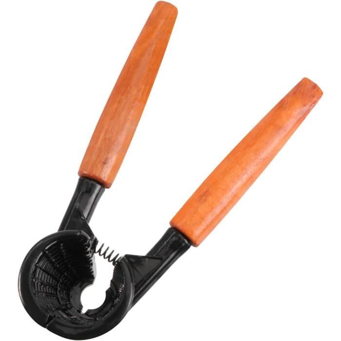 Molyorch 1 Pièces Pince Noix, Casse Noisette, Antidérapante Casse Noisettes, Convient à Toutes Sortes de Noix