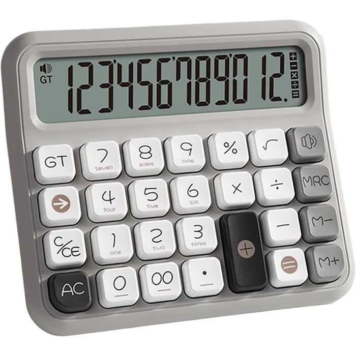 Calculatrice Mr. Pen 12 Chiffres - Grand écran LCD, Boutons Mécaniques, Grise, Pile AAA