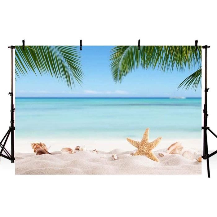 Mehofoto Toile De Fond Pour Studio Photo Avec Nuage Bleu Ciel Et Blanc