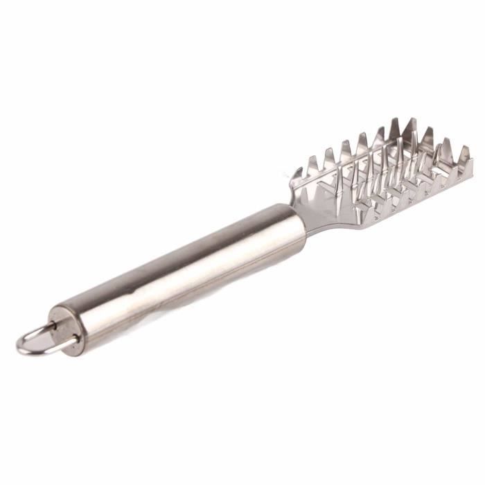 Nettoyant pour écailles de poisson Grattoir Nettoyeur Écailleur pour le