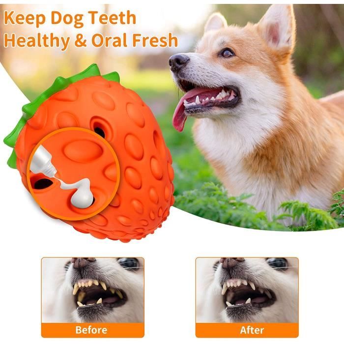 Jouets à Mâcher Pour Chien En Forme De Pneu - Lot De 2, Caoutchouc Dur, Pour Chiens Moyens Et Grands - 13