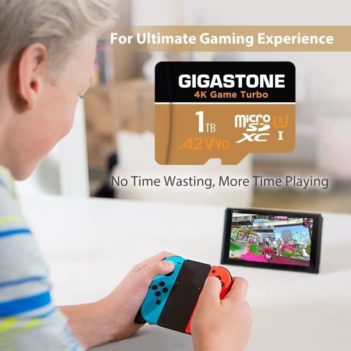 Gigastone Carte Micro SD Turbo de 1 to - Compatible Nintendo