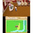Harvest Moon La Vallée Perdue Jeu 3DS-5