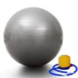 Ballon  de gym 65 cm avec Pompe - Ball Ballon Fitness Ballon de gymnastique/grossesse Balle de Balance-0