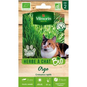 Lot de 2 souris pour chat rembourrées d'herbe à chat - Pet stages – inooko