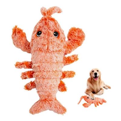 Couleur homard Jouets interactifs pour chiens en peluche, mignons, pour  petites races, accessoires pour chiot - Cdiscount