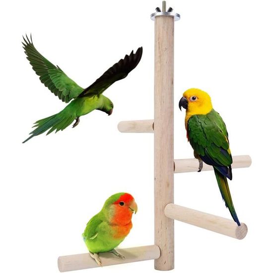 Perchoir en bois thérapeutique pour canaris, oiseaux exotique