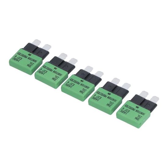 Lot De 5 Fusibles Thermiques à Réinitialisation 30A - Modèles LX-01, HT-01-A, WP-01 - Neuf