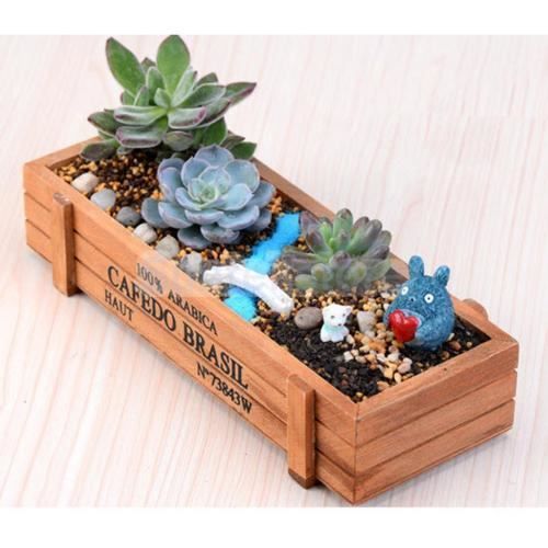 Bo?te de rangement décorative en bois pour jardinière de plantes succulentes en bois d'intérieur/extérieure de pot de jardin