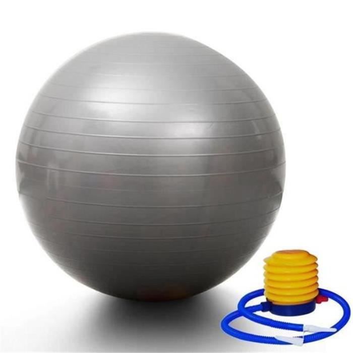 Ballon de gym 65 cm avec Pompe - Ball Ballon Fitness Ballon de gymnastique/grossesse Balle de Balance