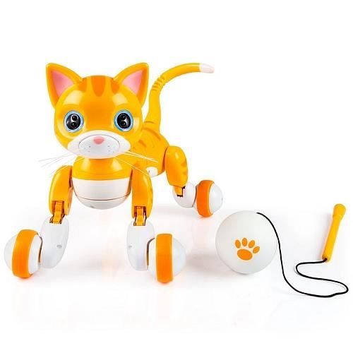 Zoomer Kitty orange