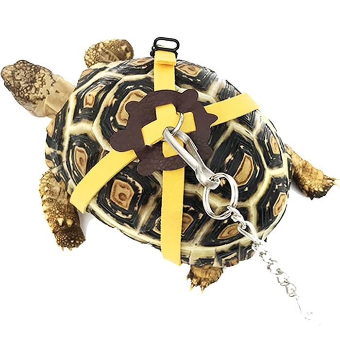 Comparer les prix de Laisse rglable pour tortue laisse et harnais pour petits animaux corde pour la marche en extrieur jaune Label