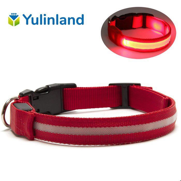 Meilleurs prix pour Collier Chien LED Rechargeable avec 3 Modes déclairage Collier Fluorescent étanche Rouge M pour promenade nocturne de animal